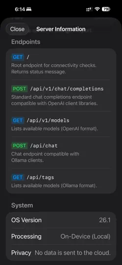 Screenshot von Local LLM Server Pro auf dem iPhone 3