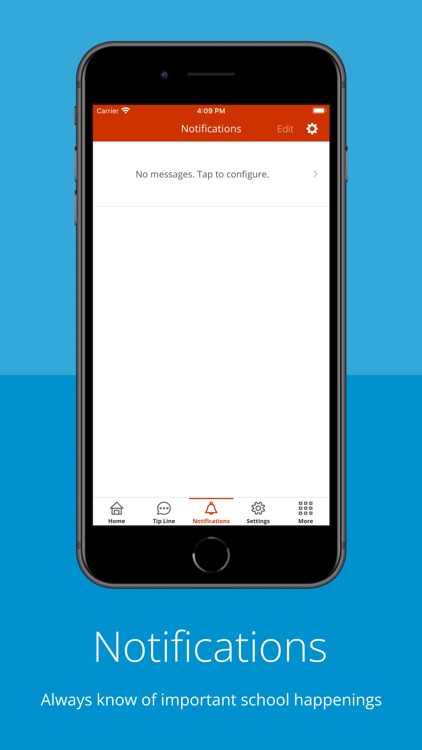 Amherst CSD screenshot-3