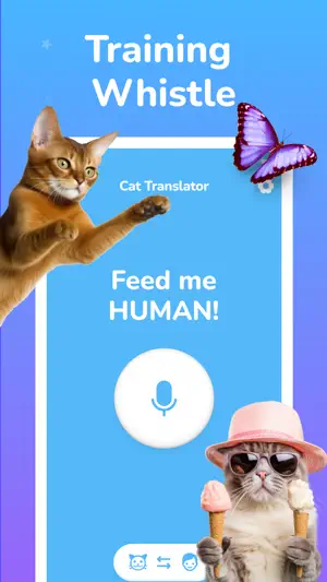 Cat Simulator - Chat Meow screenshot 2