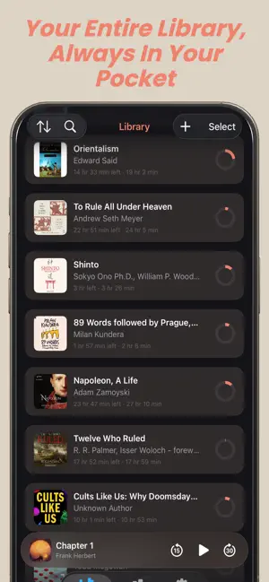 AudioPig screenshot 4