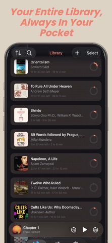 AudioPig Screenshot 4 of 7