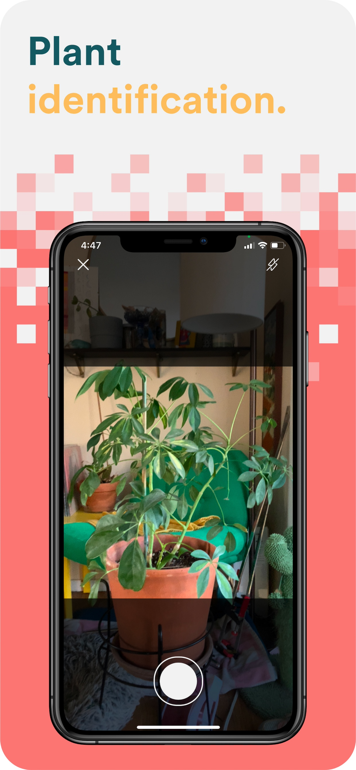 AI Hair Style Colour Changer