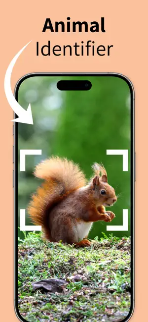 Animal Identifier - Nature ID screenshot 1