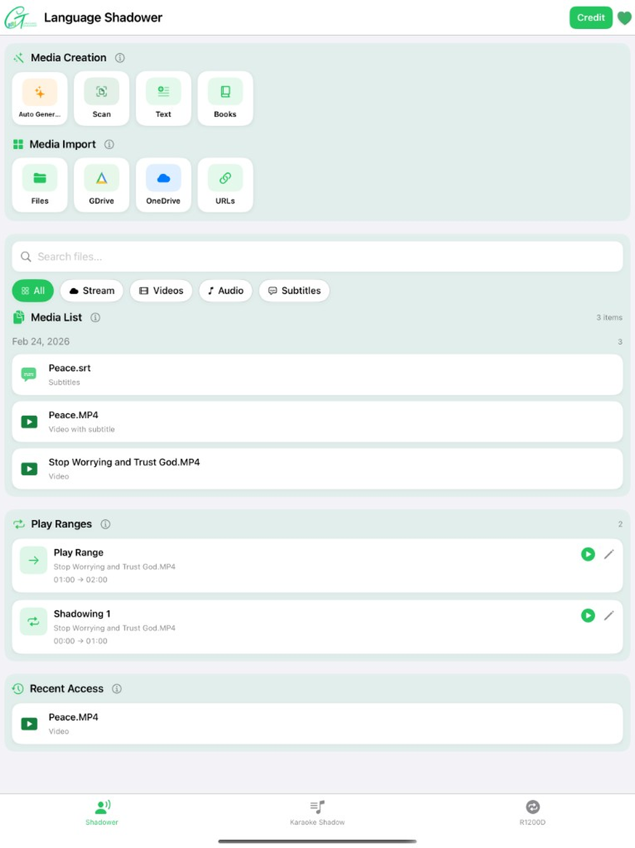 NDTD Language Shadower screenshot 9