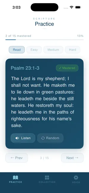 Scripture Practice screenshot 2