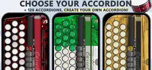 Accordion Cassoto Diatonic screenshot 3