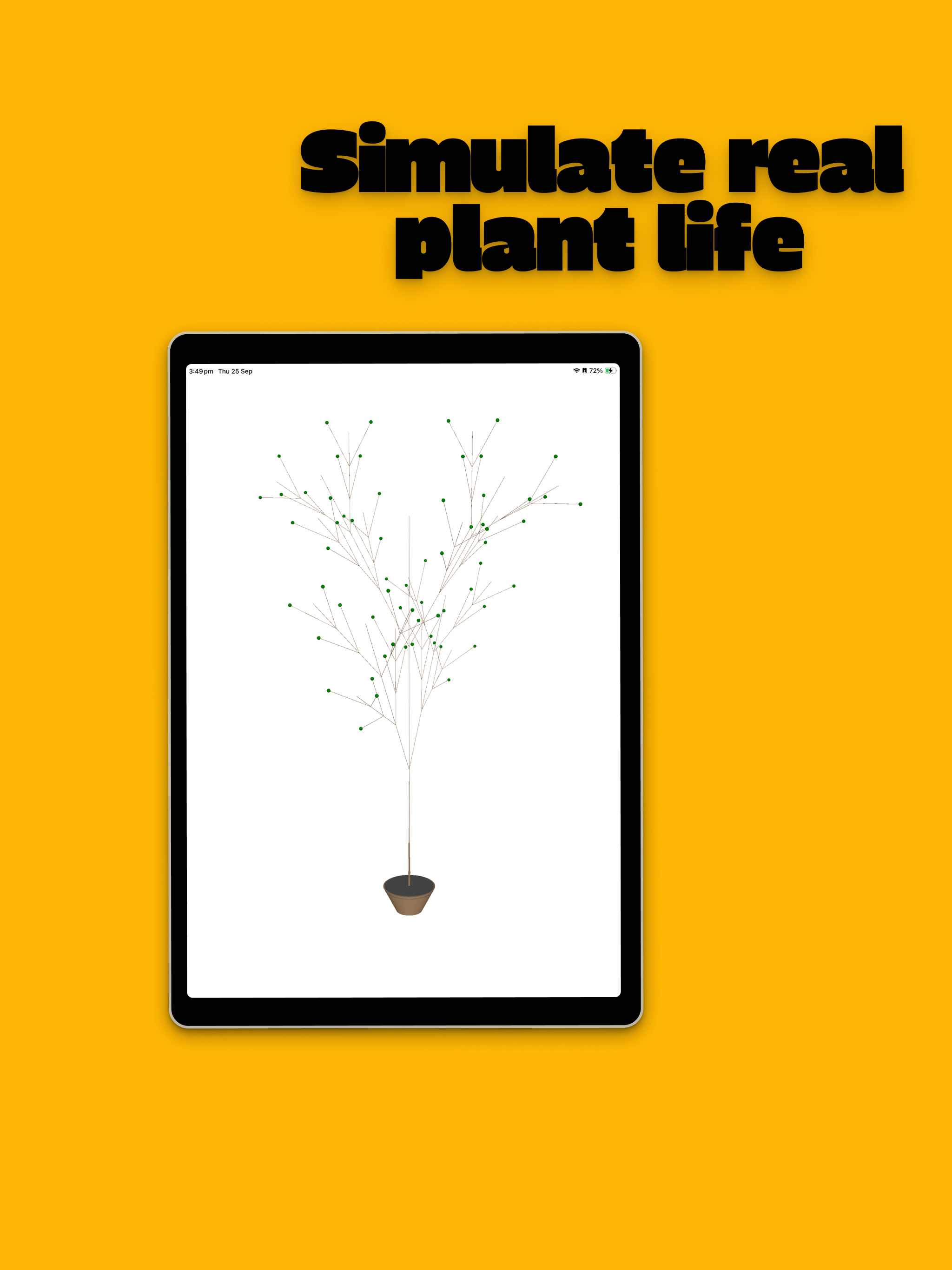 My Pocket Plant