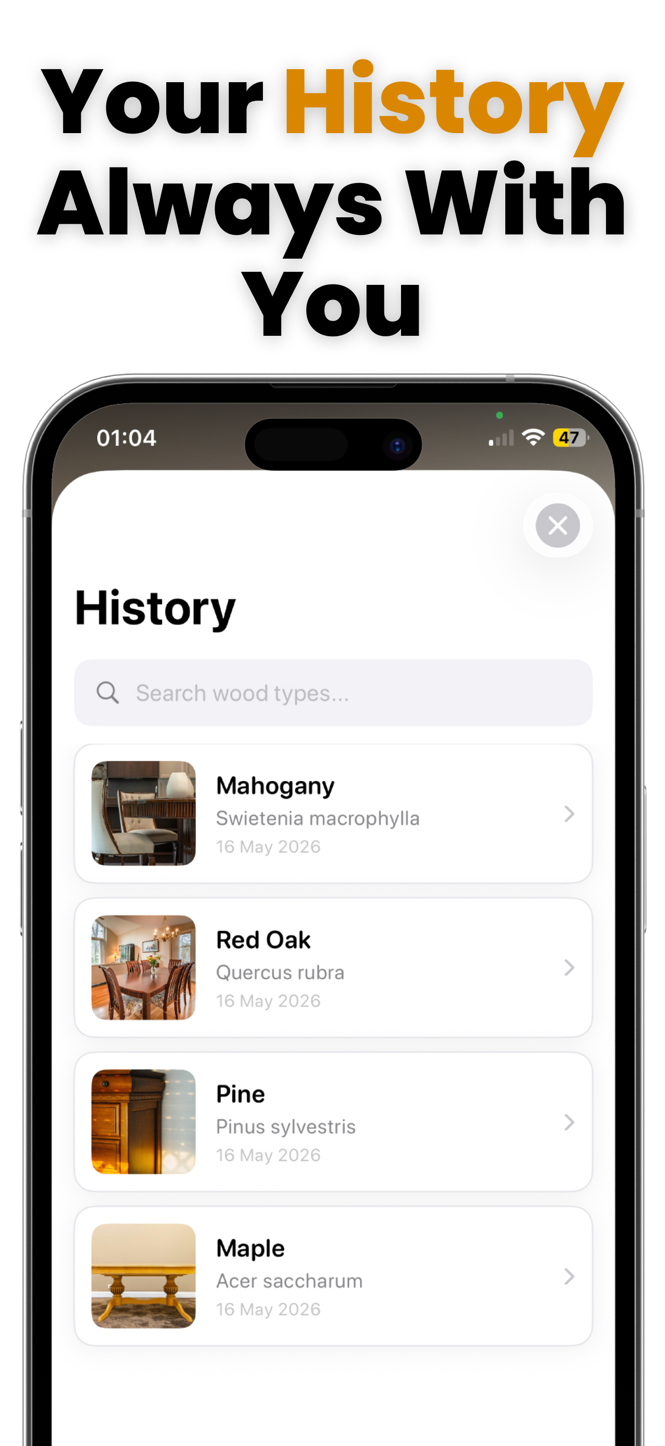 Wood Identifier - AI Scanner screenshot 3