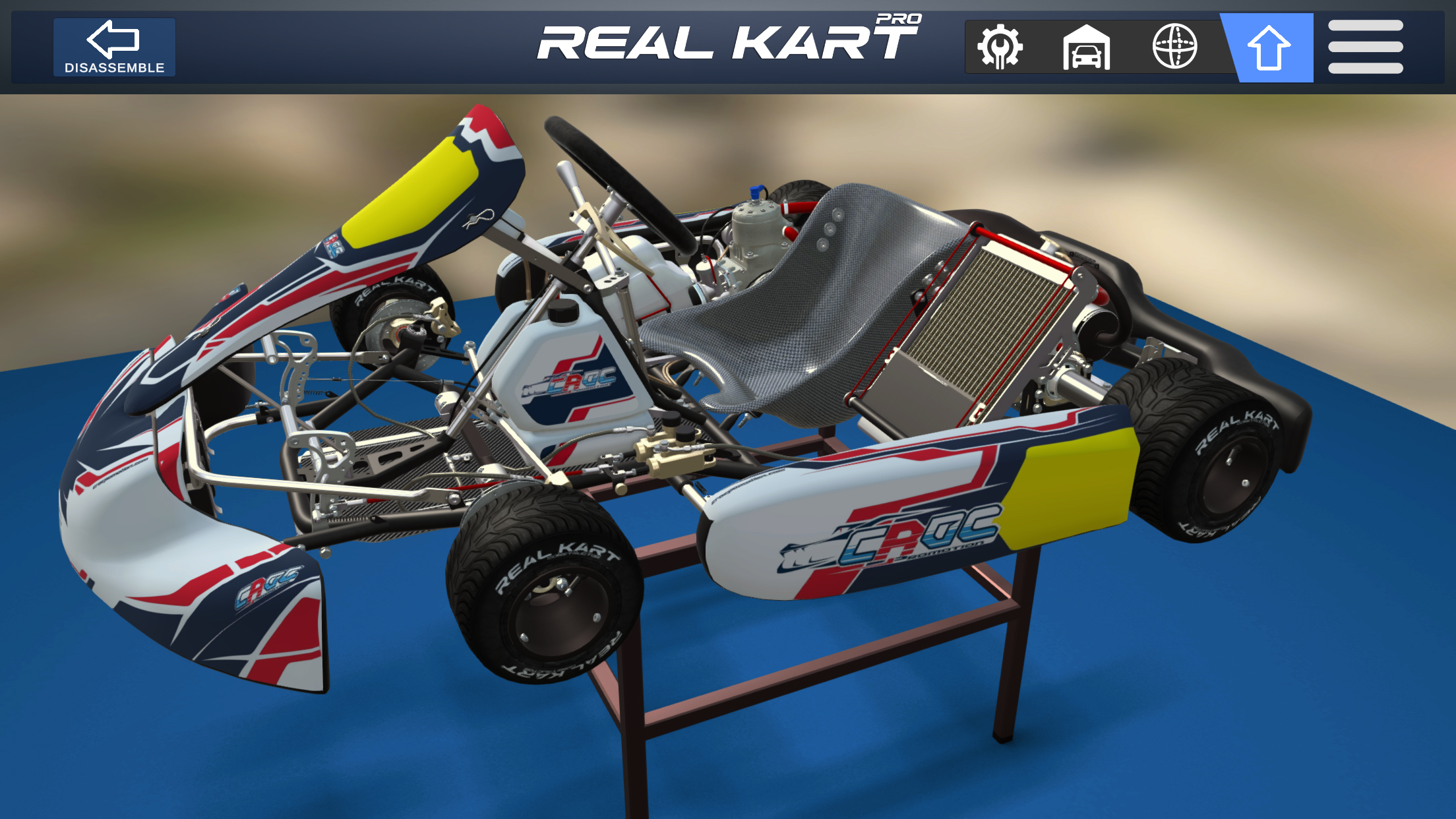 Real Kart PRO