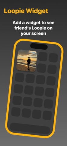 Loopie Widget screenshot