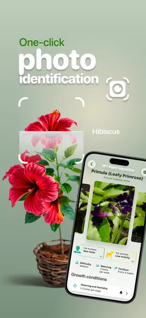 Plant Identifier №1 screenshot 4