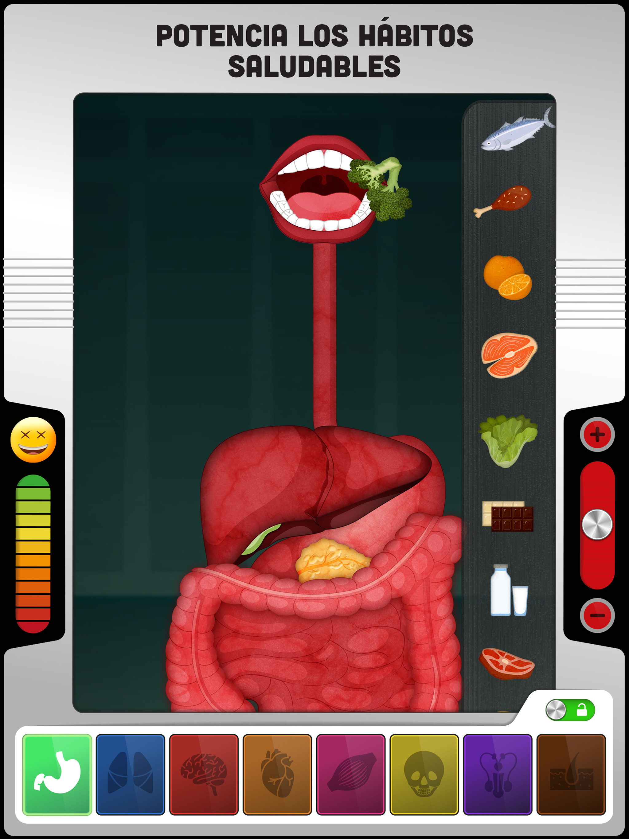 ¿Cómo es el Cuerpo Humano?
