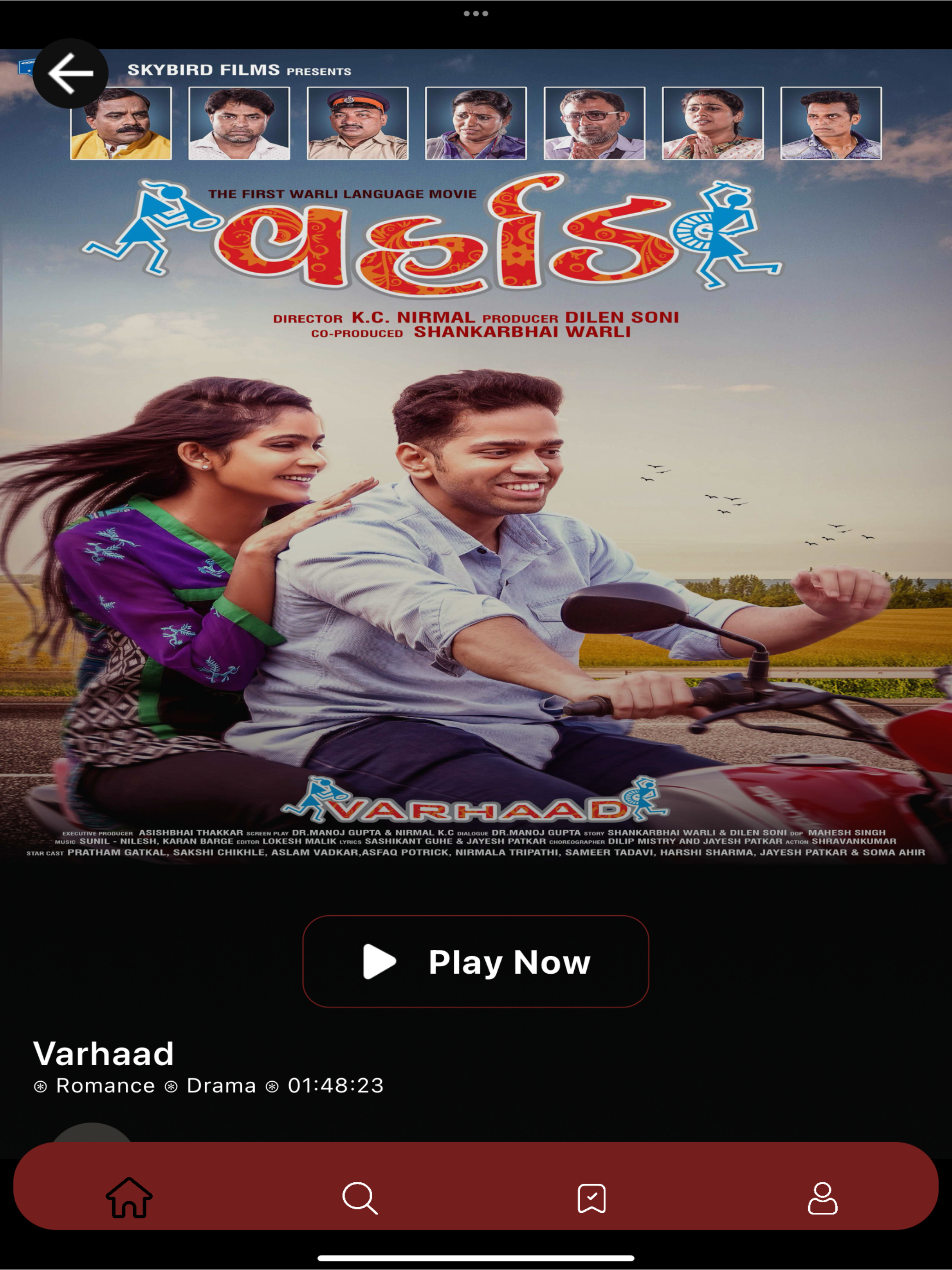 Screenplix screenshot 11