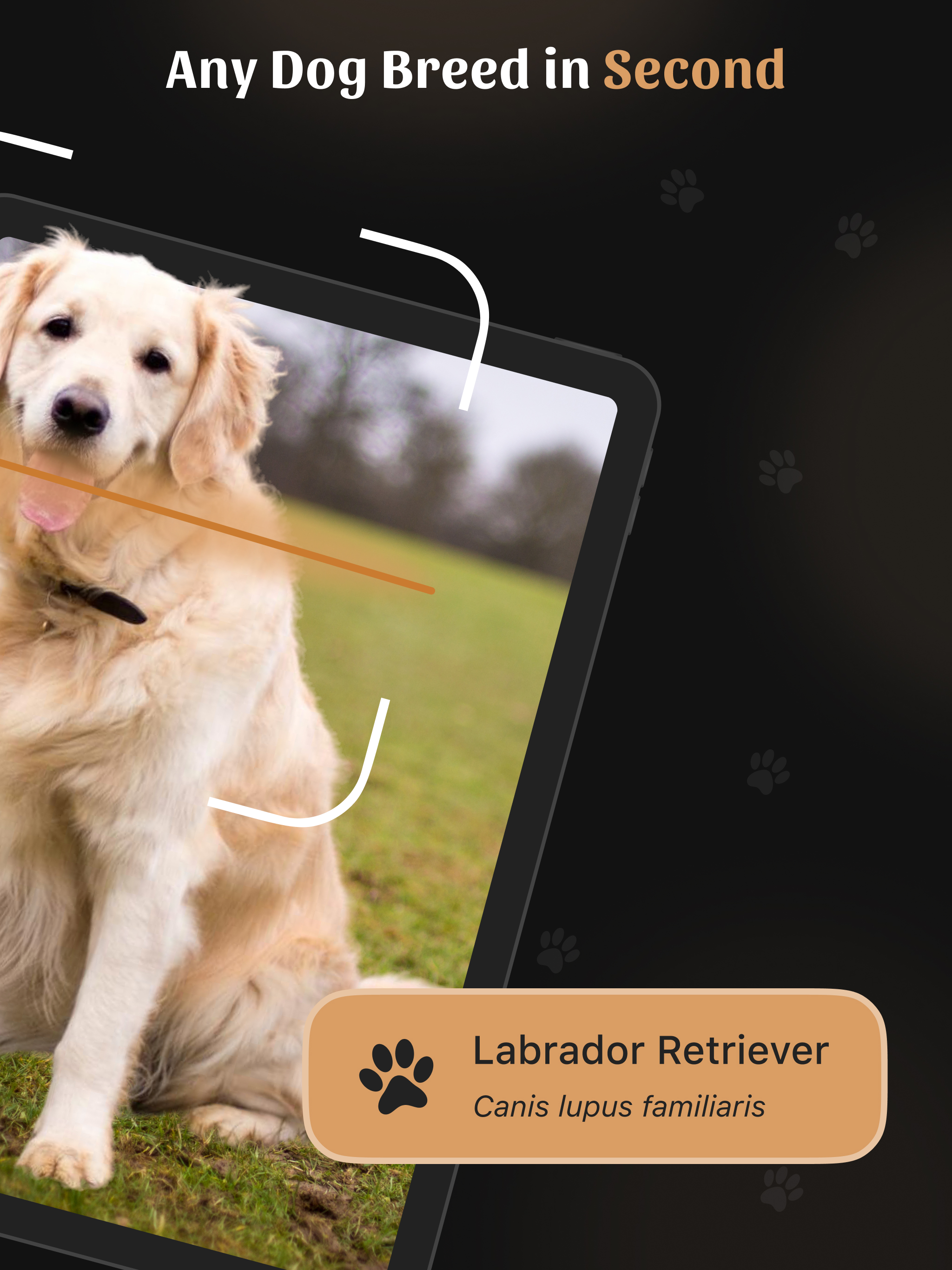 Dog Identifier With AI screenshot 7