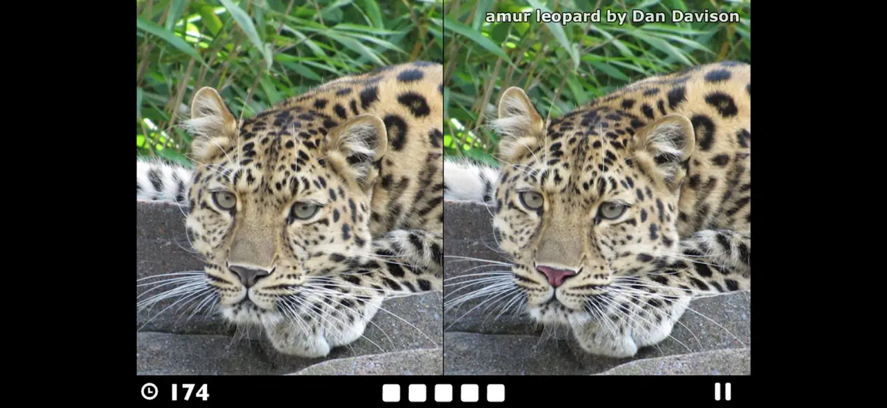 Screenshot #2 pour Find the Difference!
