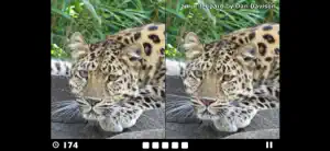 Find the Difference! screenshot 2