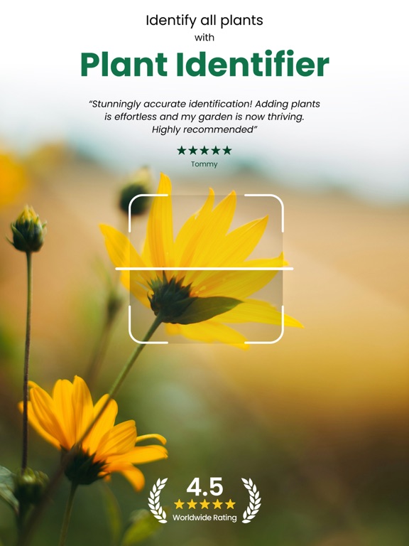 Plant ID ~ Identify Plants