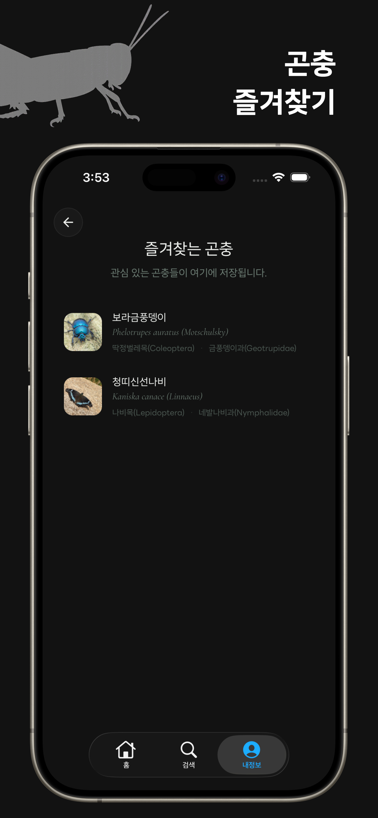 KoIn Pedia - 한국 곤충 백과 screenshot 6