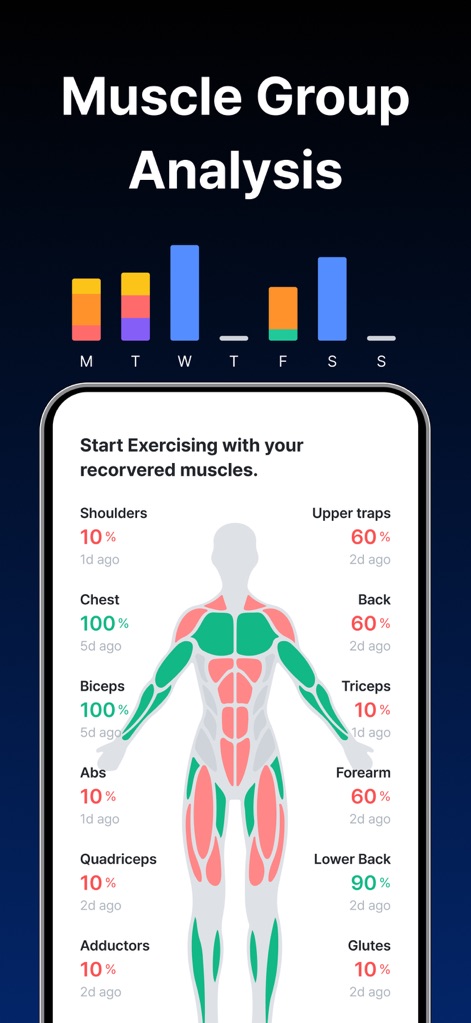Gymwork: Workout Tracker Log - The app provides granular "Muscle Group Analysis" with a visual body diagram indicating recovery and engagement percentages, complemented by a bar chart showing activity across different training days.