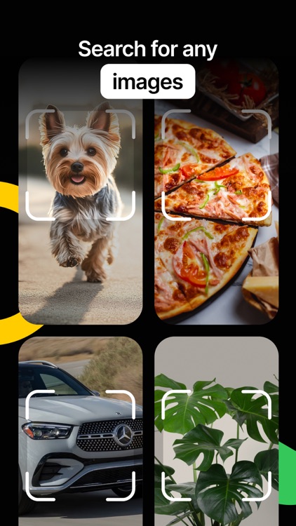 Lens Photo Scanner・Identifier