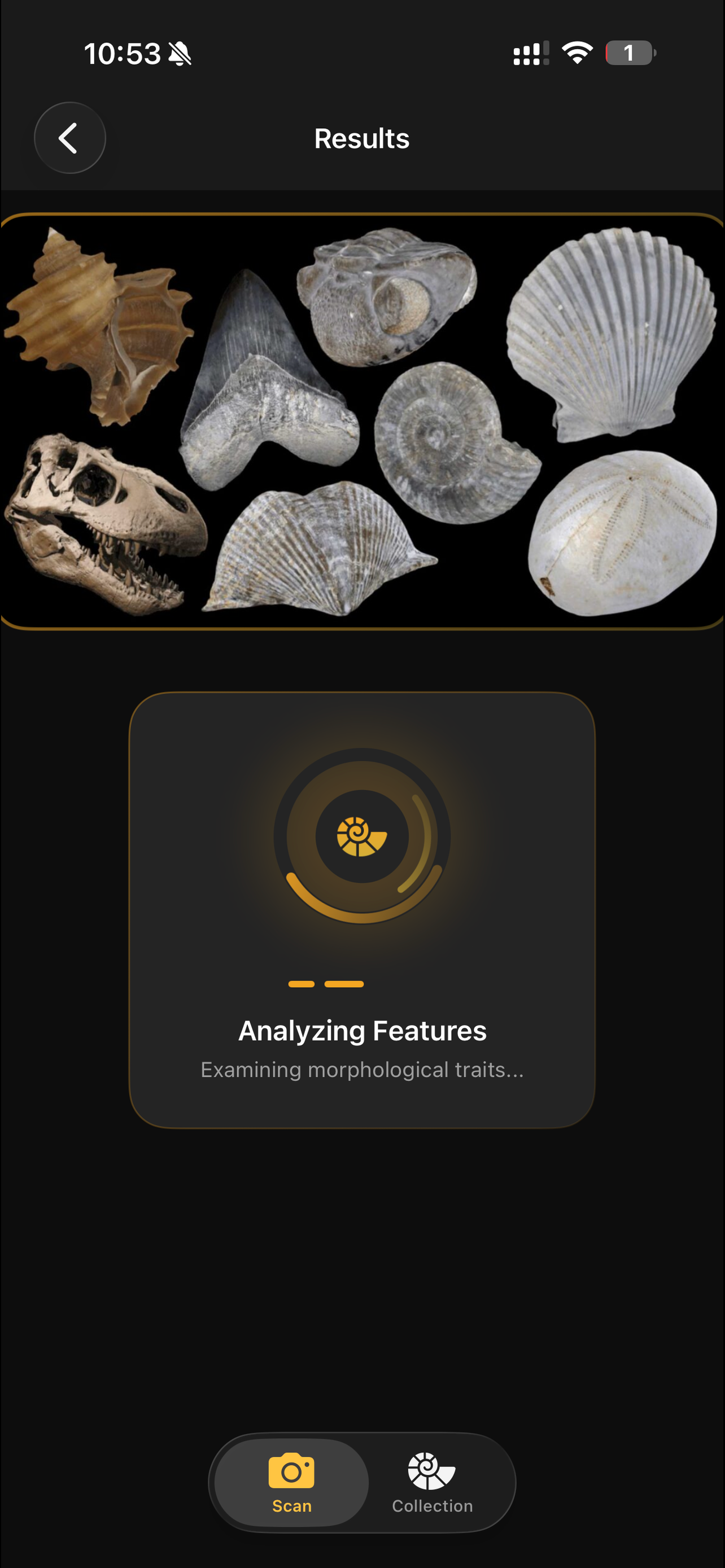 Fossilise screenshot 4