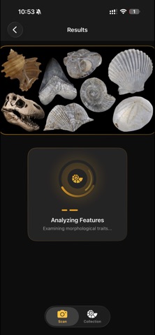 Fossilise Screenshot 4 of 10