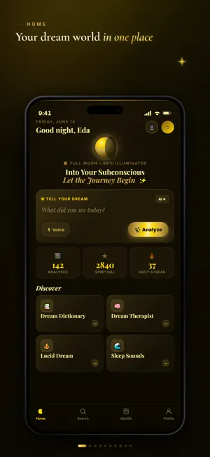 Dream Insight AI screenshot 1