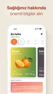 mucize anne＋hamilelik takibi iphone resimleri 2