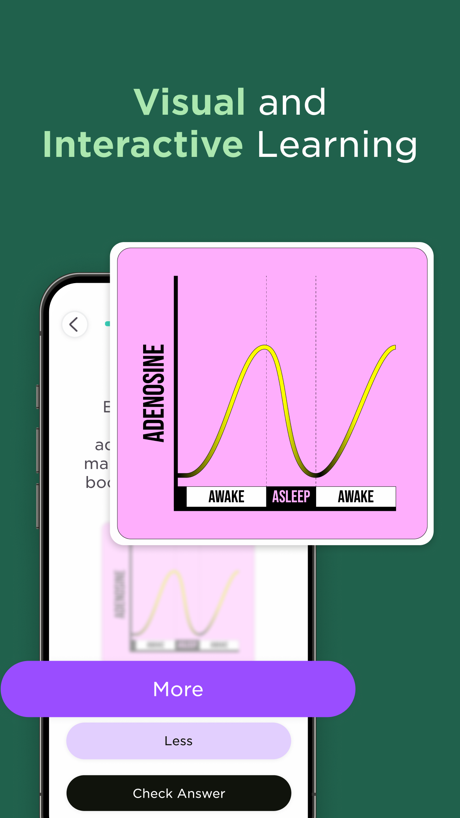 Imprint: Visual Micro Learning App Store screenshot 2, headline “Visual and Interactive Learning”. Zoomed detail of the UI.
