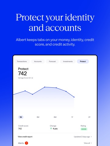 Albert: Budgeting and Banking iPad screenshot