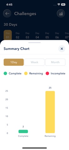 Morning Discipline Journal screenshot