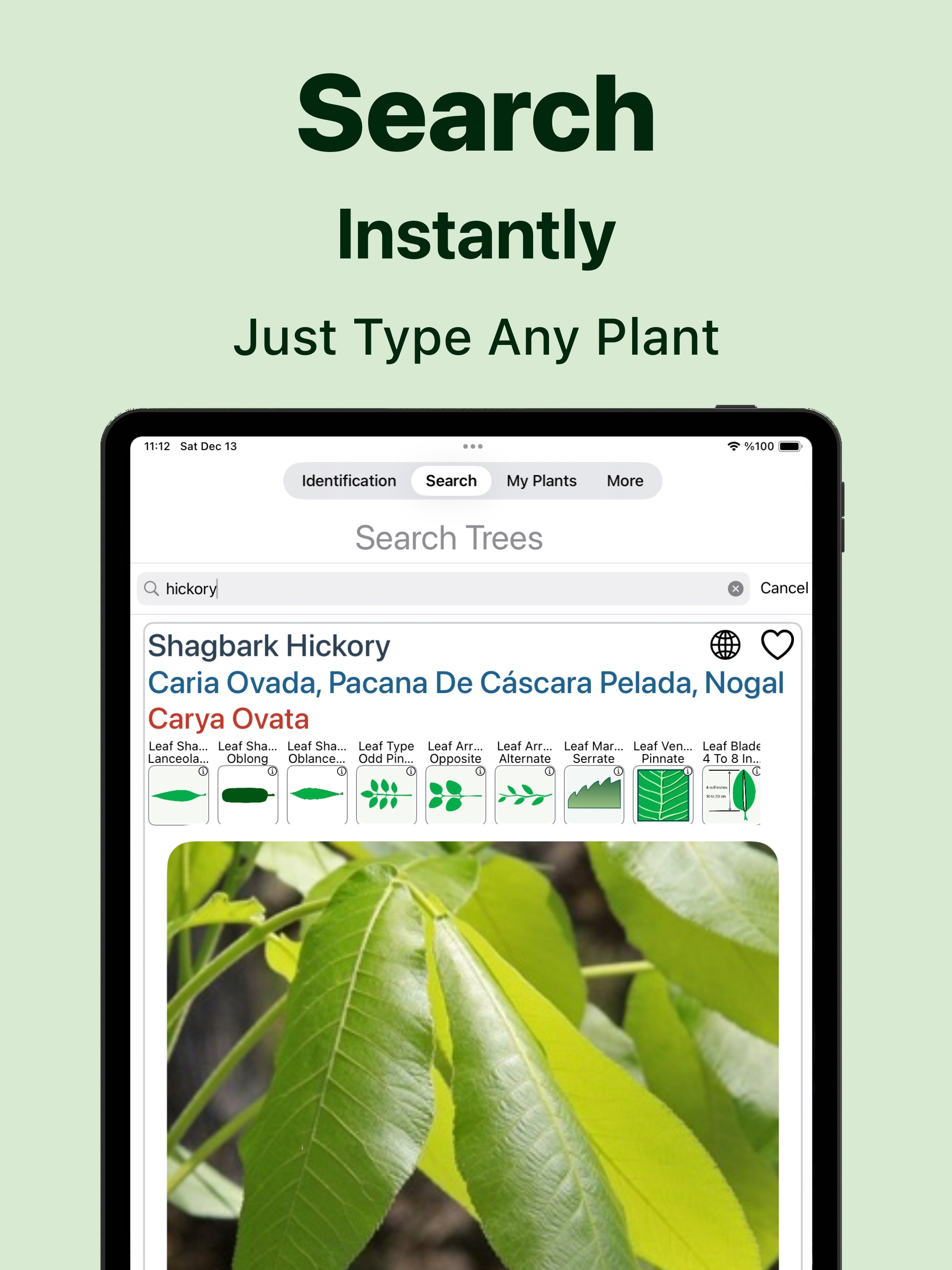 https://is1-ssl.mzstatic.com/image/thumb/PurpleSource221/v4/e7/ba/cf/e7bacf8d-bada-aa02-12c7-e29a63161698/IPad_12_9_07_en.jpg/2048x2732.png