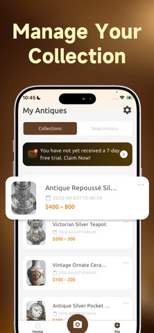 Antique Identifier | AntiqueID iPhone screenshot