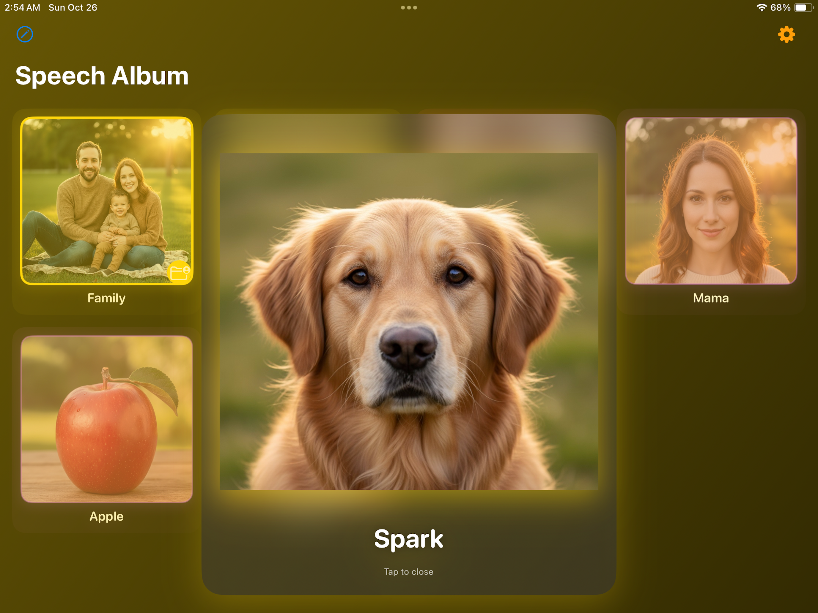 speechalbum screenshot 5