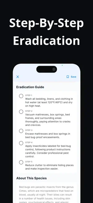 Bug Identifier: Spider Insect screenshot 4