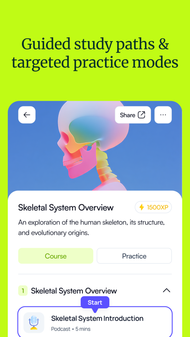 Quizgecko: AI Flashcards screenshot