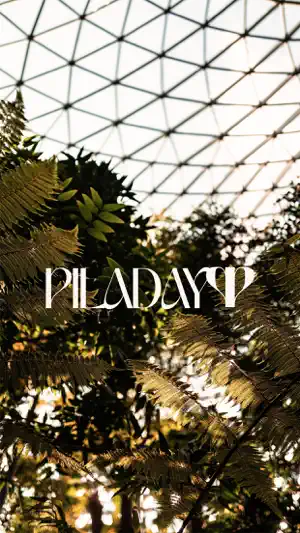 PILADAY screenshot 1