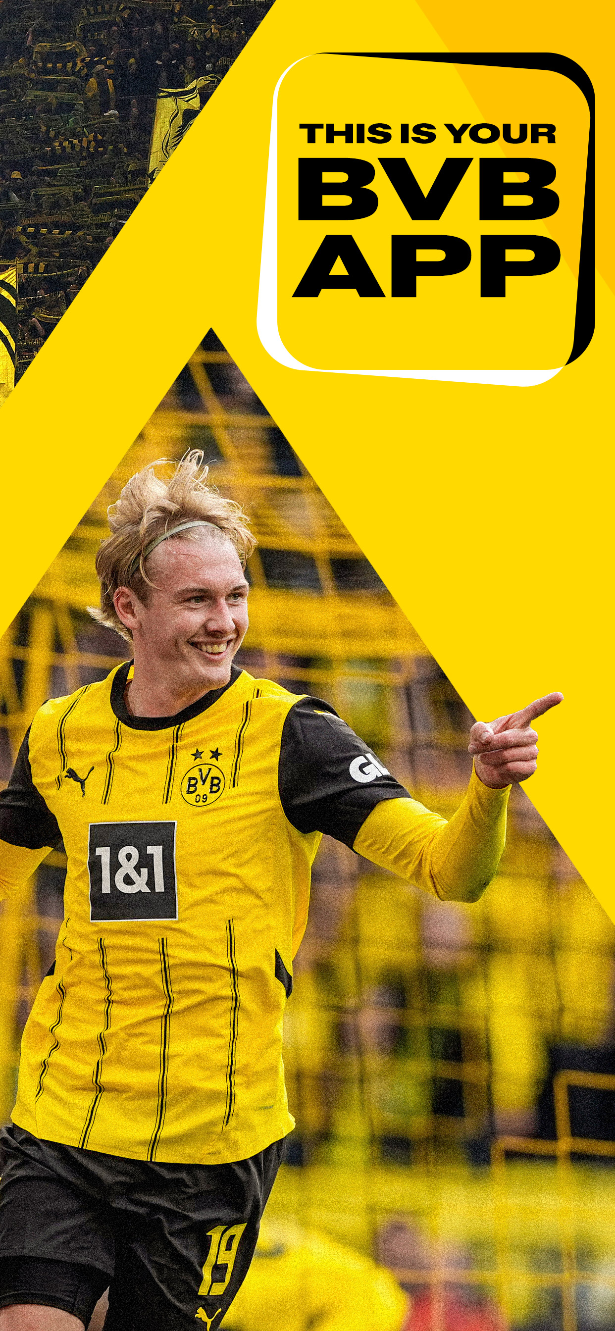 BVB