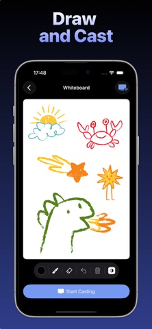 MirrorView Pro screenshot