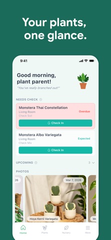 RootBase screenshot