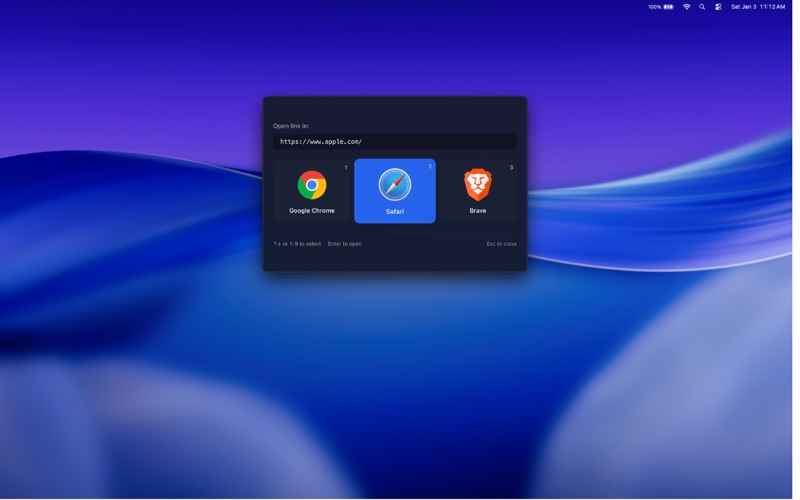 BrowserPort screenshot