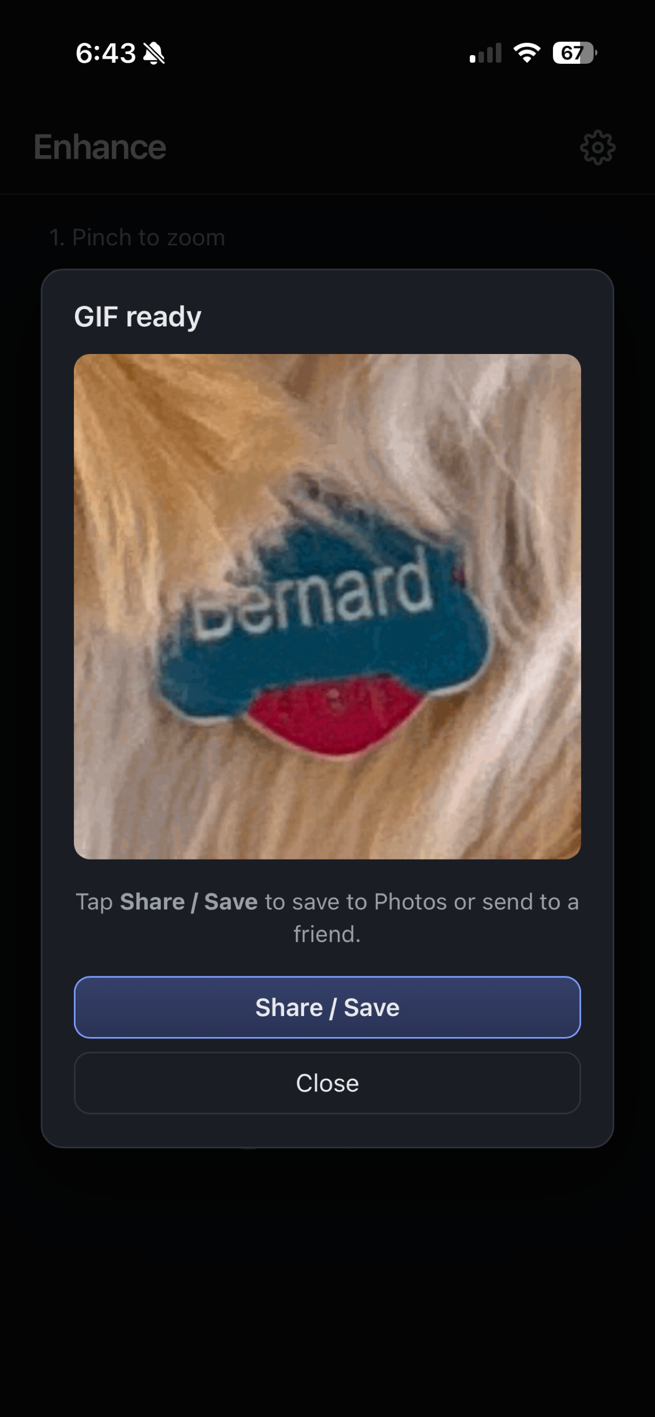 Enhance - Photo Zoom GIF screenshot 4
