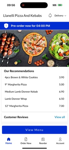 Llanelli Pizza And Kebabs screenshot