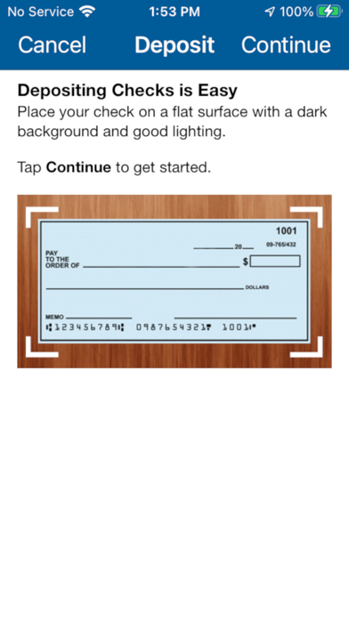 Texas National Bank Biz Screenshot