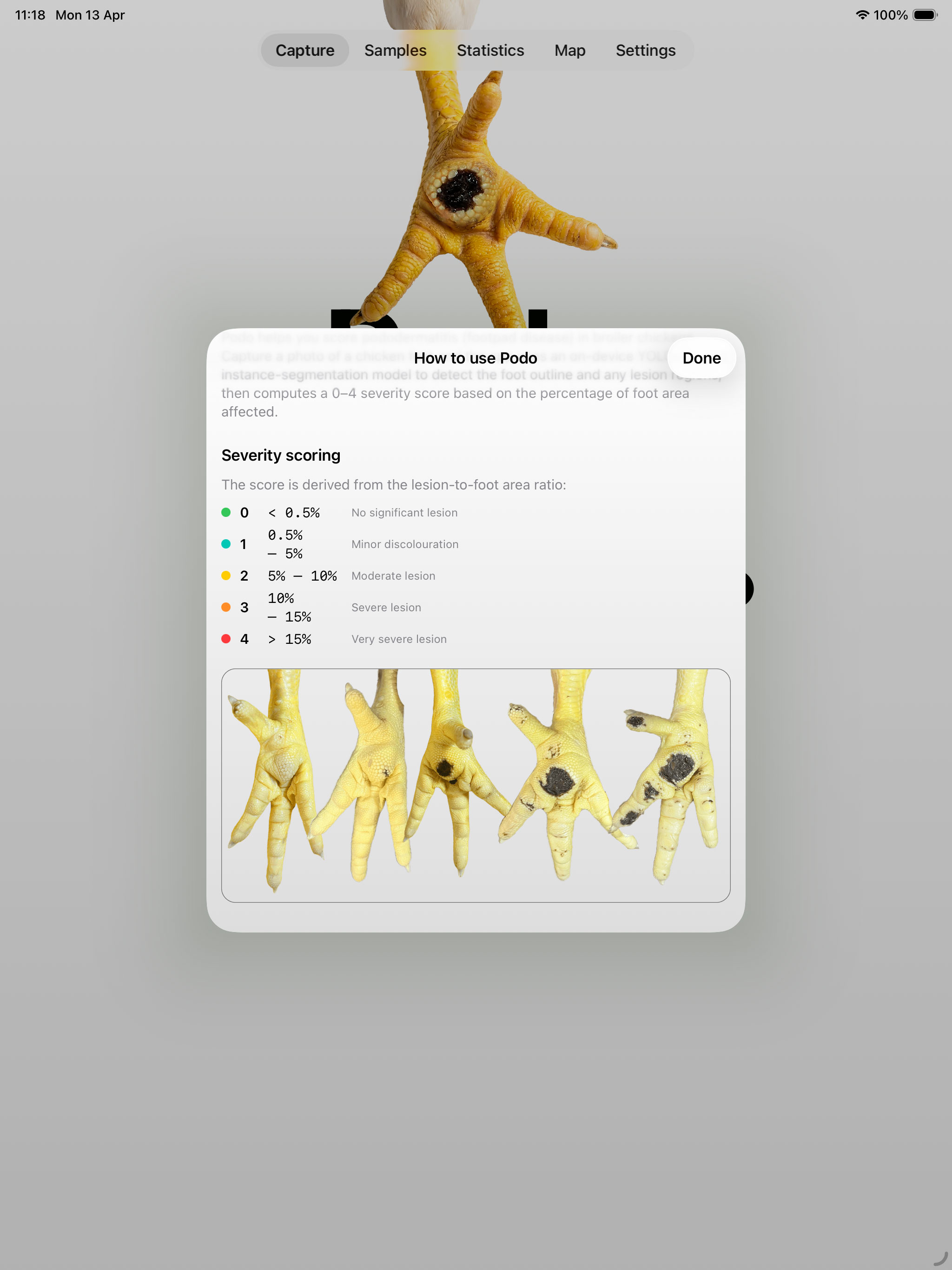 Podo: Poultry footpad scoring screenshot 11
