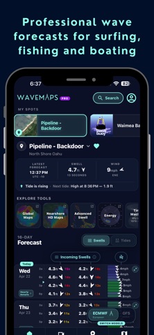 Wavemaps: Wave Forecasts screenshot