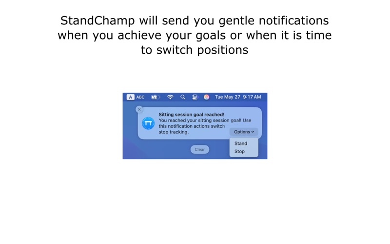 StandChamp screenshot