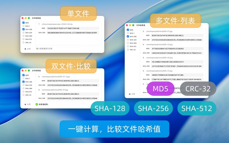 QSpace screenshot