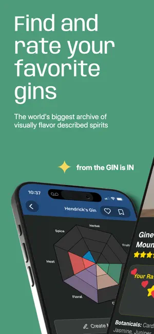 The GIN is IN screenshot 1