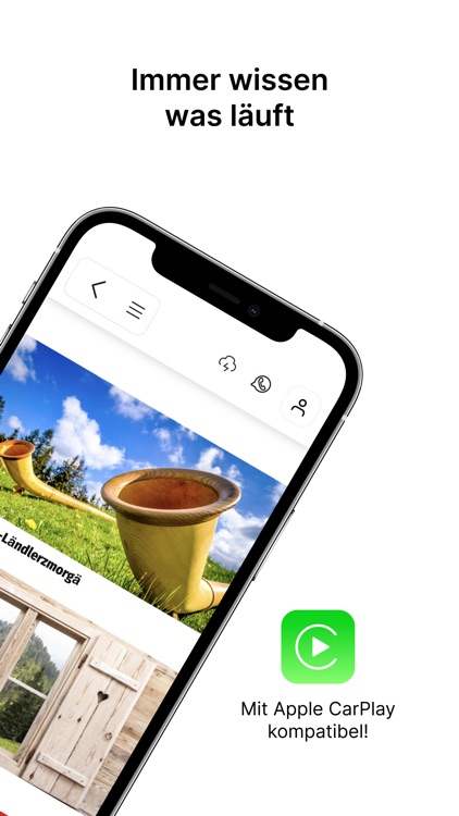 Radio EVIVA screenshot-3